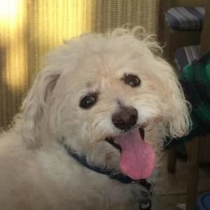 Meet your Posher, Mona